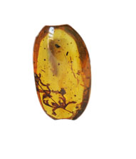 s-Ruby Palce_W107 (3).jpg